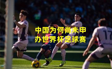 中国为何尚未申办世界杯足球赛