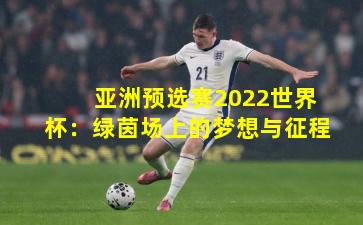 亚洲预选赛2022世界杯：绿茵场上的梦想与征程