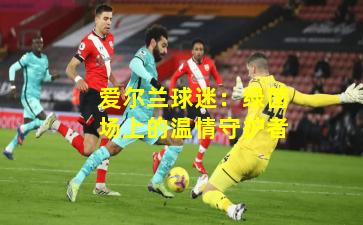 爱尔兰球迷：绿茵场上的温情守护者